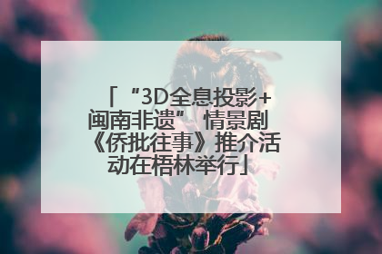 “3D全息投影+闽南非遗” 情景剧《侨批往事》推介活动在梧林举行